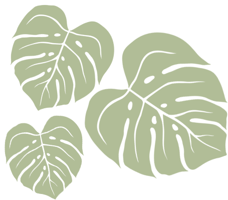 Taro leaves